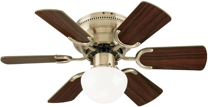 Westinghouse 7215800 Petite Single 