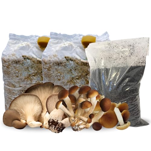 Kit Coltivazione Funghi con 2 Ballette (1 Cardoncello + 1 Pioppino) e Sacchetto da 3 Kg di Terriccio...