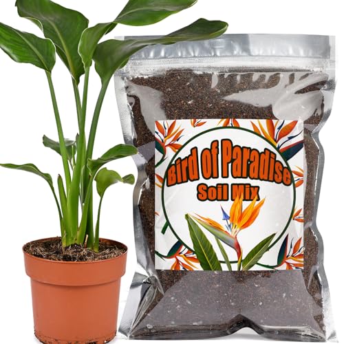 Organic Bird of Paradise Potting Soil Mix 1qt, Ideal for Indoor/Outdoor Potted Plants, Promotes Optimal Growth for Bird of Paradise