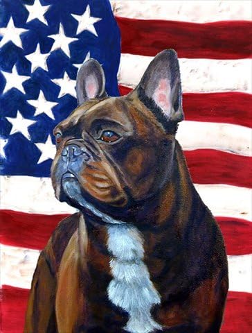 28 x 40 in. USA American Flag with French Bulldog Flag Canvas, House Size