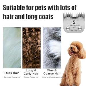 5 Skip Tooth Detachable Pet Dog Grooming Steel Blades,Compatible with Andis,Oster A5,Wahl KM10 Series Clippers,Cut Length 1/4-Inch (6.3mm) ，1 PACK