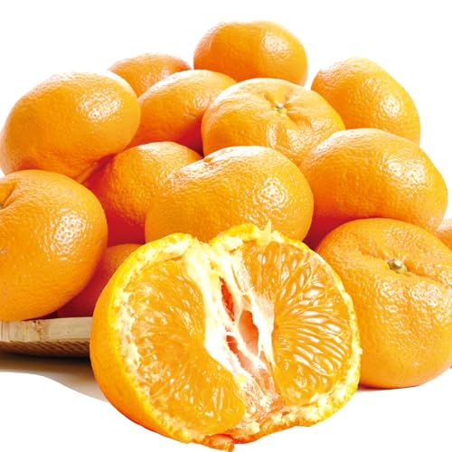 ݂ 10kg IRN|݂ a̎RY ƒp B ~J k  mikan Hi ؉