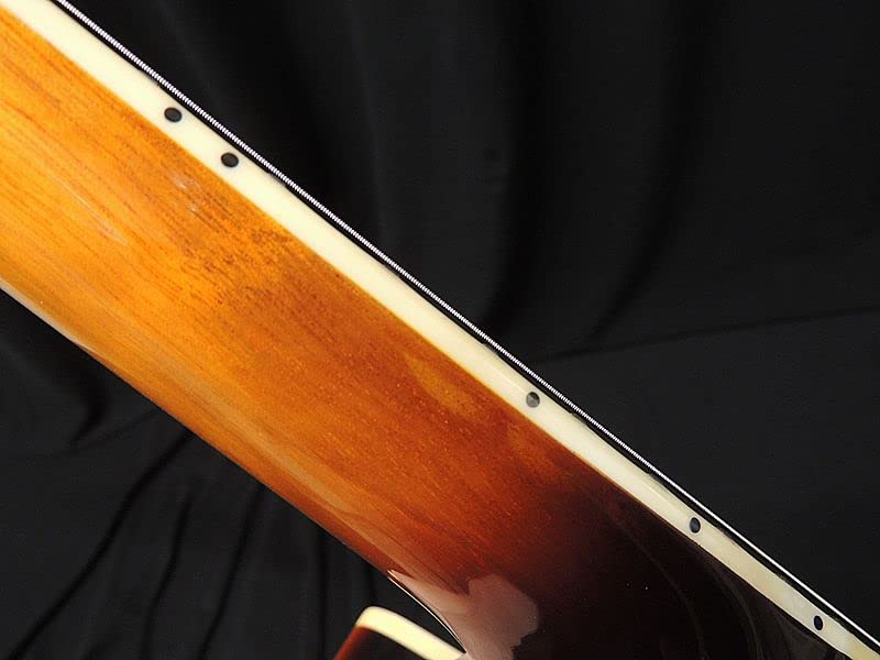 Amazon | Sire Larry Carlton H7 VS サイアー ラリーカールトン