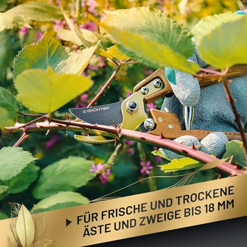 GRÜNTEK Premium Gartenscheren Set Bypass 210 mm mit Echtleder-Holster, Black Forest Edition, Geschenk Idee, Antihaft-beschichtete Präzisionsklinge, Titan-beschichtet, Ergo-Griff in Natur Holz-Design