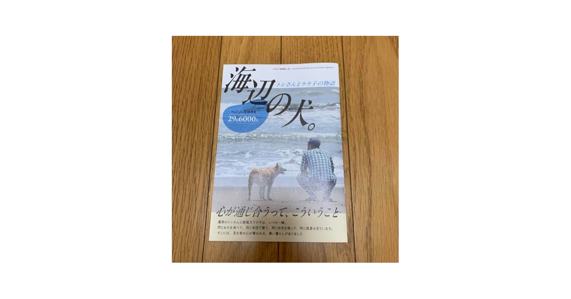 海辺の犬。トシさんとララ子の物語 海辺の犬。 トシさんとララの物語 通販｜セブンネットショッピング