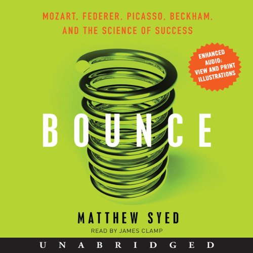 Bounce: Mozart, Federer, Picasso, Beckham, and the Science of Success