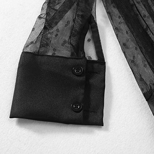 Womens Summer Polka Dot Transparent Sheer Mesh Maxi Long Dress Lapel Collar Button Down Flared Casual Lace Beach Cover Ups-Black3