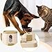 Harilla Dispensador Automático de Comida para Gatos Imagen de Harilla Dispensador Automático de Comida para Gatos
