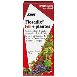 Floradix Liquid Iron and Vitamin Fo...