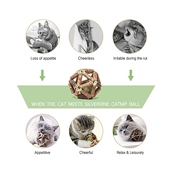 Gochanmon catnip toys-2pcs natural silvervine stick catnip ball&bell ball-cat toys for indoor cats- cleaning teeth molar tools matatabi cat chew toy-kitten toys - image 4