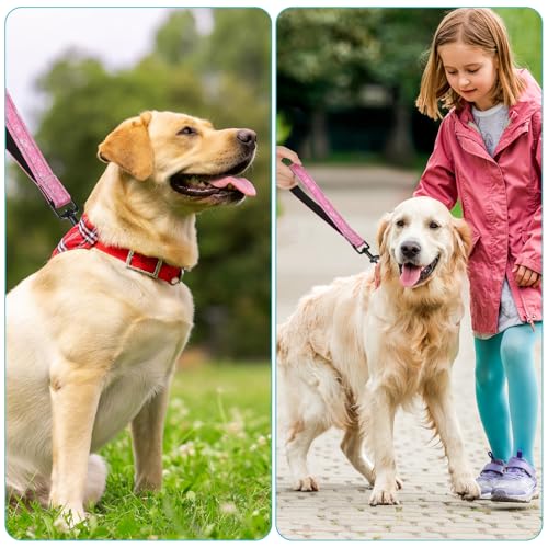 Reflective Nylon Padded Handle Short Dog Leash - for Large and Medium Dogs (Glitter)