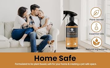 EcoValley Natural Humane Spider Repellent Spray Pet Safe Spider Stopper for Home or Garden 500ml (Pack of 2)