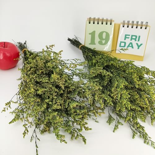 Ramo de Flores Caspia Statice Preservadas 17 Pulgadas miniatura 4