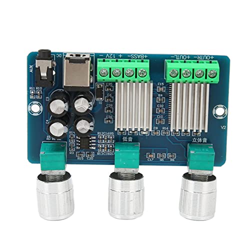 Gavigain Digital Power Amplifier Board,Sound Amplifier Board,Digital Power Amplifier Board DC 12V 2.1 Channel Stereo Digital Subwoofer Power Amplifier Board