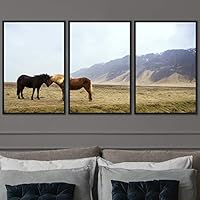 3 Piece Framed Canvas Wall Art A Friend with Me Animals Farmhouse Fun Horse Living Room - 16