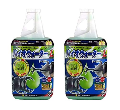 y܂ƂߔztWR oCIEH[^[L 250ml ×Q{ }bgɐƉh{⋋ ې 