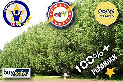 GEOPONICS 1,5 Litri / 1,6 Quarti: Orchidee Media_The Good Stuff Orchid k Media_Orchids Love It! di Lunga Durata