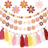 Picture of Rtteri 4 Pack Daisy Boho Party Decorations Daisy Classroom Garland Groovy Hippie Flower Tassel Colorful Pom Pom Banner for School Birthday Baby Shower Wedding Retro Party Supplies(Pastel Colors)
