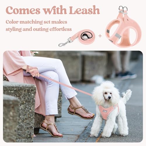 Image of rabbitgoo Dog Harness Medium Sized and Leash Set, Step-in Puppy Pet Vest