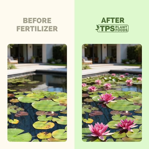 Fertilizante Líquido Water Garden 32 oz miniatura 3