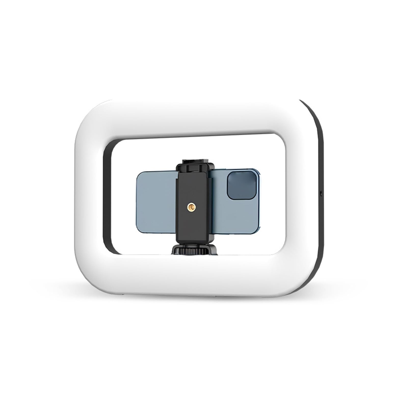 ciciglow Cell Phone Video Rig with Light