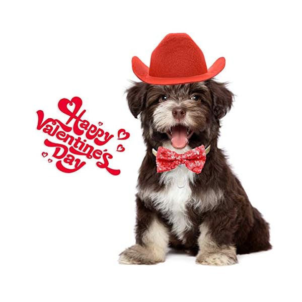 Vehomy valentine's day dog cat cowboy hat and bow tie collar pet cowboy costume for dogs and kittens set of 2pcs - image 6