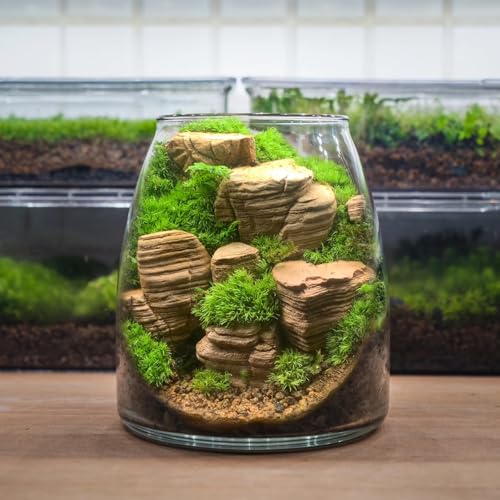 Image of Natural Rocks Pagoda Stones 1-2.5 Inches Decorative Rocks for Fairy Gardens,Miniature Landscaping,Bonsai,DIY Crafts, Aquariums & Reptile Terrariums-2lb