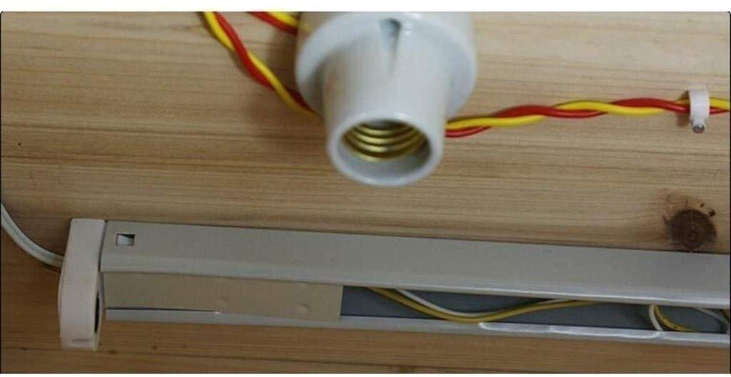 Tanque Anfibio pequeño portátil, terrario para Reptiles de Oficina, Caja de Ciencia de Madera, Tanque de hábitat para Reptiles, Caja de Transporte para Reloj con Jaula para Tortugas y lagartos