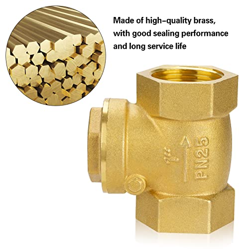 Nutmanel Valvola di Ritegno Filettatura Interna in...