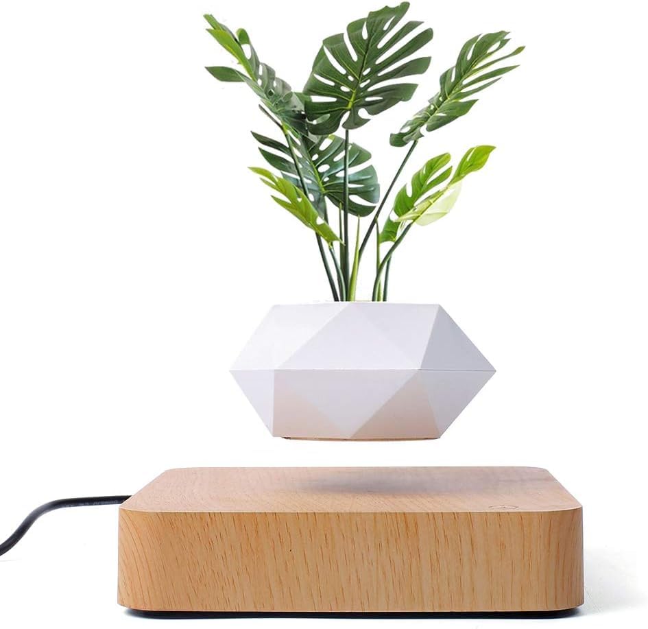 Galox Levitating & Floating Plant Pot for Home & Office Table Decor Magnetic Floating Levitating Display, Unique Lavish Gift (B0D5BPKT1K) Amazon Price History, Amazon Price Tracker
