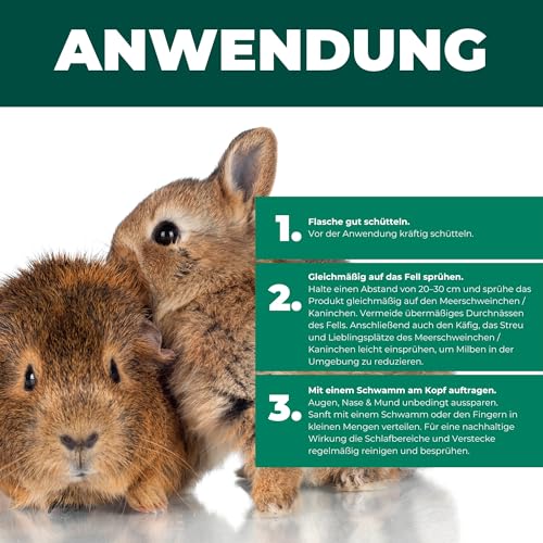 Silberkraft Milbenspray Meerschweinchen, Kaninchen & Kleintiere 2 L, zuverlässiger Milbenschutz, nützliche Parasitenabwehr, effizientes und garantiert hilfreiches Anti-Milben-Mittel