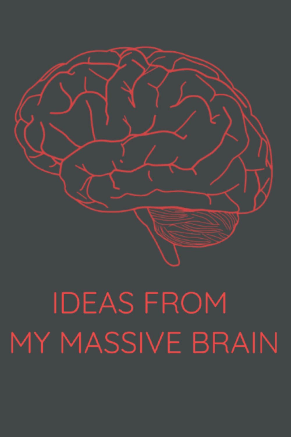 Idea Notebook: Ideas From My Massive Brain