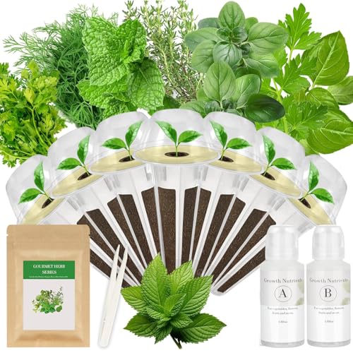 Gourmet Herb Seed Pod Kit for AeroGarden idoo Ahopegarden MUFGA with Basil Parsley Thyme Mint Cilantro Dill Oregano - Hydroponics Supplies for Most Brand (7-pod)