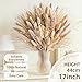Hapart Fluffy Dried Pampass Grass Bouquet All-Natural Dried Plants with Ivory Bunny Tails for Vase Home Boho Decor Floral Centerpieces for Table 90Pcs