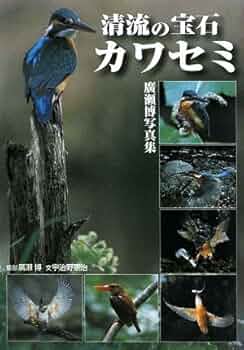カワセミの七宝焼 カワセミ – 【京都・宇治】七宝焼絵画制作工房｜七彩工房