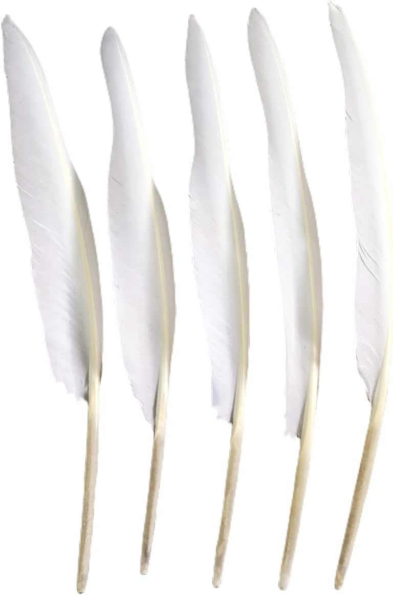 50pcs White Long Feathers 10~12 Inch,Beautiful Bulk Feather for Crafts,Big Size Bilateral Natural Goose Feather,for Wedding Dress and Party Decoration,DIY Fabricating Handicraft Article(Pure White)