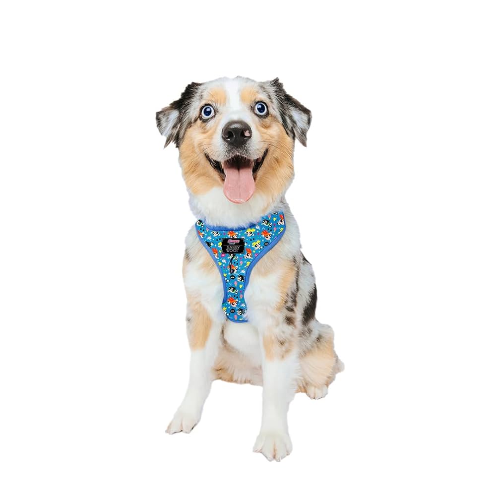 for pets only フォーペッツオンリー DOG POWER ロンパース for pets only フォーペッツオンリー トッポミオアンゴラロンパース