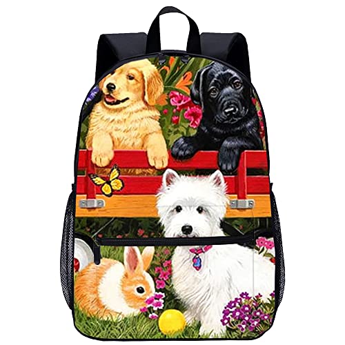 Sac à dos de voyage 45x30x15cm ergonomique pour soulager le dos en rando