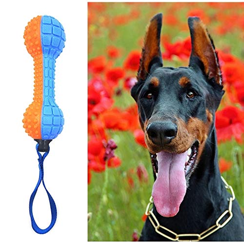 PETLICIOUS & MORE TPR Squeaky Handle Dumbbell Chew Toy for Dogs & Puppies - Dumbbell 1