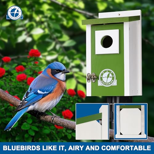 Bird-Houses-for-Outside-Lime-Green-Bird-House-Bluebird-Houses-for-Outside-Garden-Decoration-Birdhouses-for-Outdoors-Bluebird-Finch-Swallow-Wren-Chickadee Bird Houses for Outside Lime Green Bird House Bluebird Houses for Outside Garden Decoration Birdhouses for Outdoors Bluebird Finch Swallow Wren Chickadee