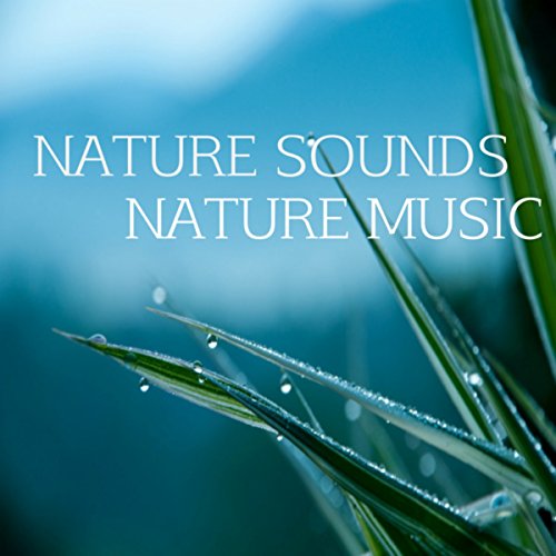 Music and Nature Nature Sounds Nature Music Digital Music