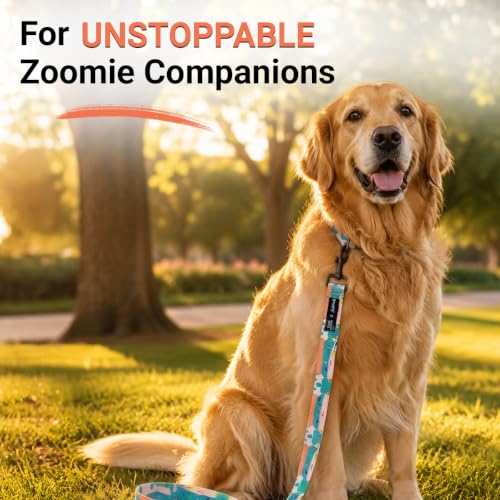 Image of Bowlers Dog Leash for Small, Medium & Large Dogs | Cyan & White Design | Durable Nylon Pet Walking Lead | Strong Metal Hook | Comfortable Grip