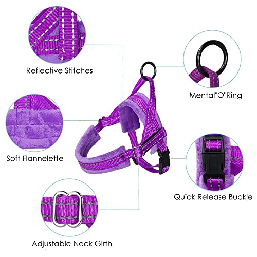 Lukovee-Dog-Harness-and-Leash-Set-Soft-Padded-Small-Dog-Harness-Neck-Chest-Adjustable-Reflective-Vest-Puppy-Harness-with-4ft-Lightweight-Anti-Twist-Dog-Leash-for-Small-Dogs-XX-Small-Purple - Cucciolini Doodles   Lukovee-Dog-Harness-and-Leash-Set-Soft-Padded-Small-Dog-Harness-Neck-Chest-Adjustable-Reflective-Vest-Puppy-Harness-with-4ft-Lightweight-Anti-Twist-Dog-Leash-for-Small-Dogs-XX-Small-Purple