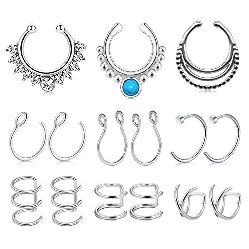 AceFun Aro de Nariz Falso Juego de Aro de Acero Inoxidable Anilla de Nariz Labio Oreja Joyería de Piercing Clip de Cartílago sin Agujero Joyería de Cuerpo, 15 Piezas Totalmente, 9 Estilos Cover