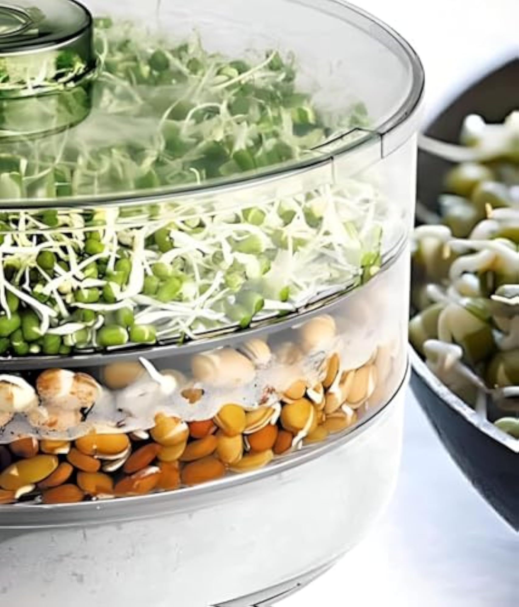 Sprout Maker with 2 Compartments, 700ml Each