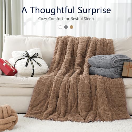 Image of Mr. Sandman Weighted Blanket Queen Size 15 lb, Soft Jacquard Sherpa Weighted Blanket for Adults, Warm Fluffy Heavy Throw Blanket for Relaxing Sleep and Calming Comfort, 60 x 80 Inch, Ivory White