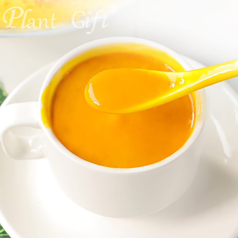 Plant Gift 100% Pure Pumpkin Powder 南瓜粉 Pasto naturale in polvere, ottimo sapore per bevande, frullato, yogurt, cottura, biscotti, torte e bevande, polvere non OGm 100G/3.25oz