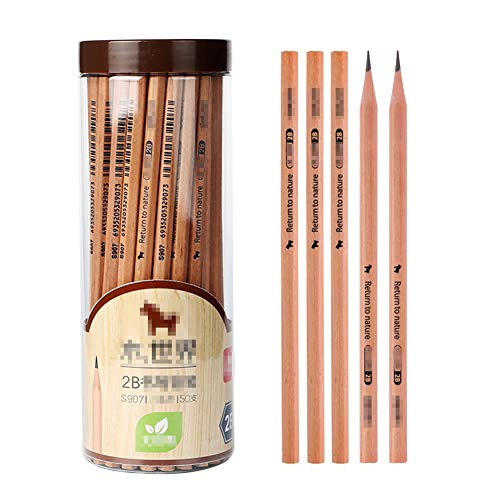 50本セット 2B 鉛筆 えんぴつ 小学生 木目 鉛筆 無料 えんぴつ 2bえんぴつ 卒園記念品 入学祝い 鉛筆 準備 幼稚園 ギフト プレゼント(2B)