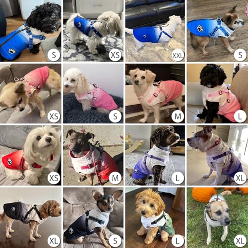 Savlot Hundejacken für den Winter Wasserdichter Hundemantel Winter Warme Jacke Welpen Winter Warme Jacke Kleines Hundejacke Outfit für kleine mittel Hunde(XL, Blau)