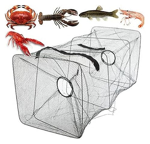 Pesca Trampa Plegable for Peces, Red de Pesca portátil, Red de Cebo de Aterrizaje de Malla fundida...
